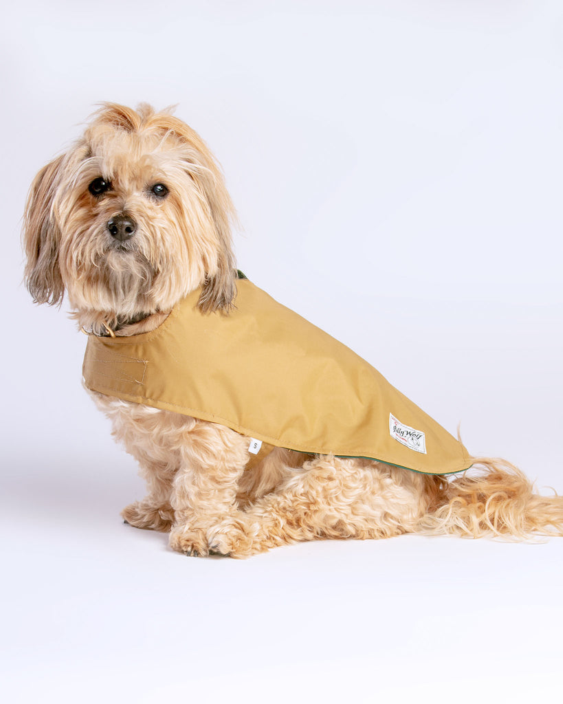 Carson Reversible Dog Raincoat in Green & Tan (Made in the USA) << FINAL SALE >> Wear BILLY WOLF   