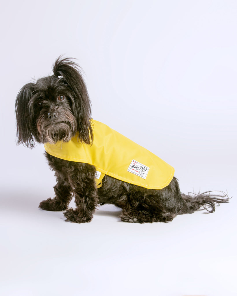 Carson Reversible Dog Raincoat in Khaki & Yellow (Made in the USA) << FINAL SALE >> Wear BILLY WOLF   