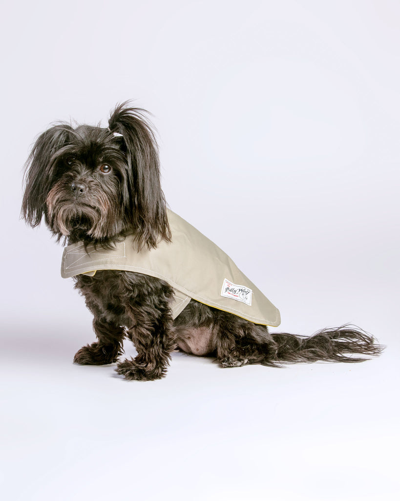 Carson Reversible Dog Raincoat in Khaki & Yellow (Made in the USA) << FINAL SALE >> Wear BILLY WOLF   