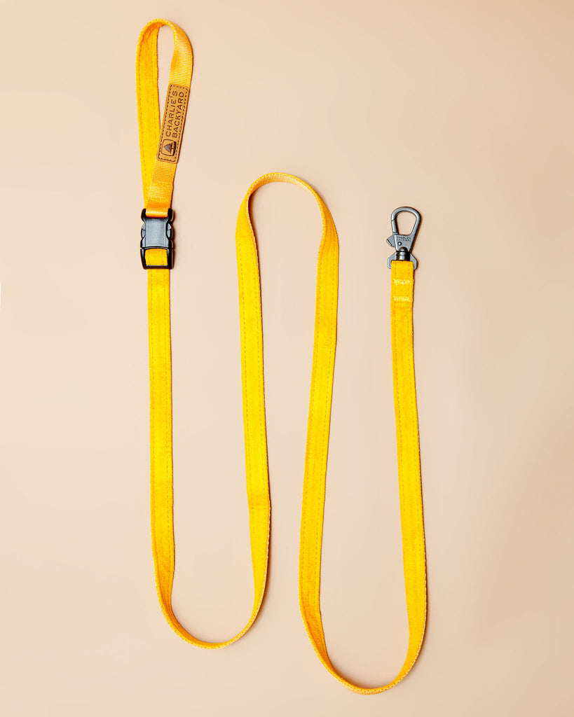 Adjustable Easy Dog Leash in Yellow Walk CHARLIE'S BACKYARD   