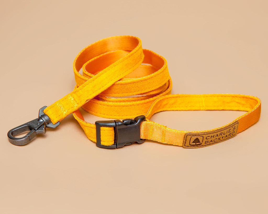 Adjustable Easy Dog Leash in Yellow Walk CHARLIE'S BACKYARD   