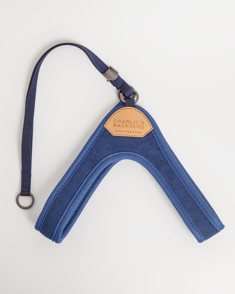 Adjustable Easy Dog Harness in Navy WALK CHARLIE'S BACKYARD   