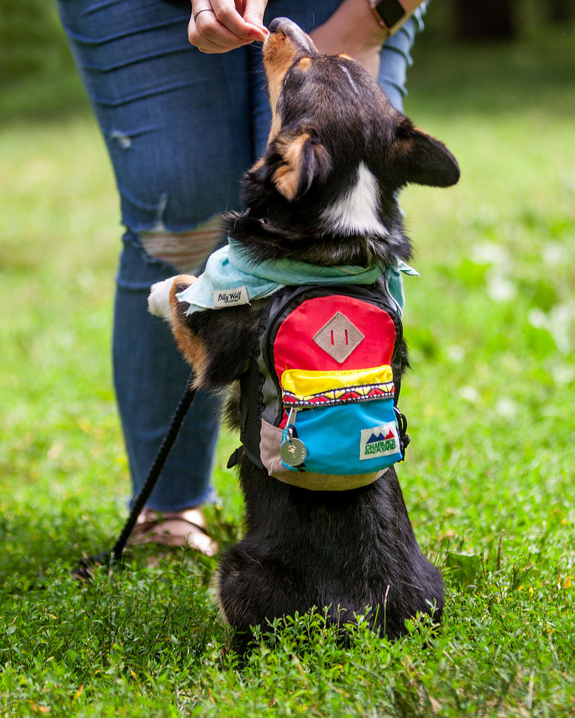 Charlie's Bag Backpack in Red Wear CHARLIE'S BACKYARD   