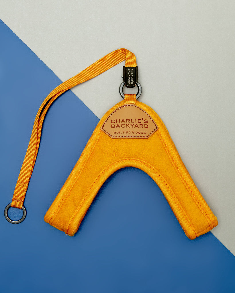 Adjustable Easy Dog Harness in Yellow (Dog & Co. X Charlie's Backyard Exclusive) WALK CHARLIE'S BACKYARD   