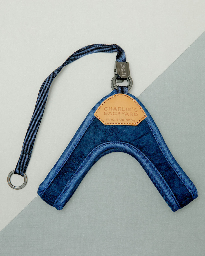 Adjustable Easy Dog Harness in Navy WALK CHARLIE'S BACKYARD   