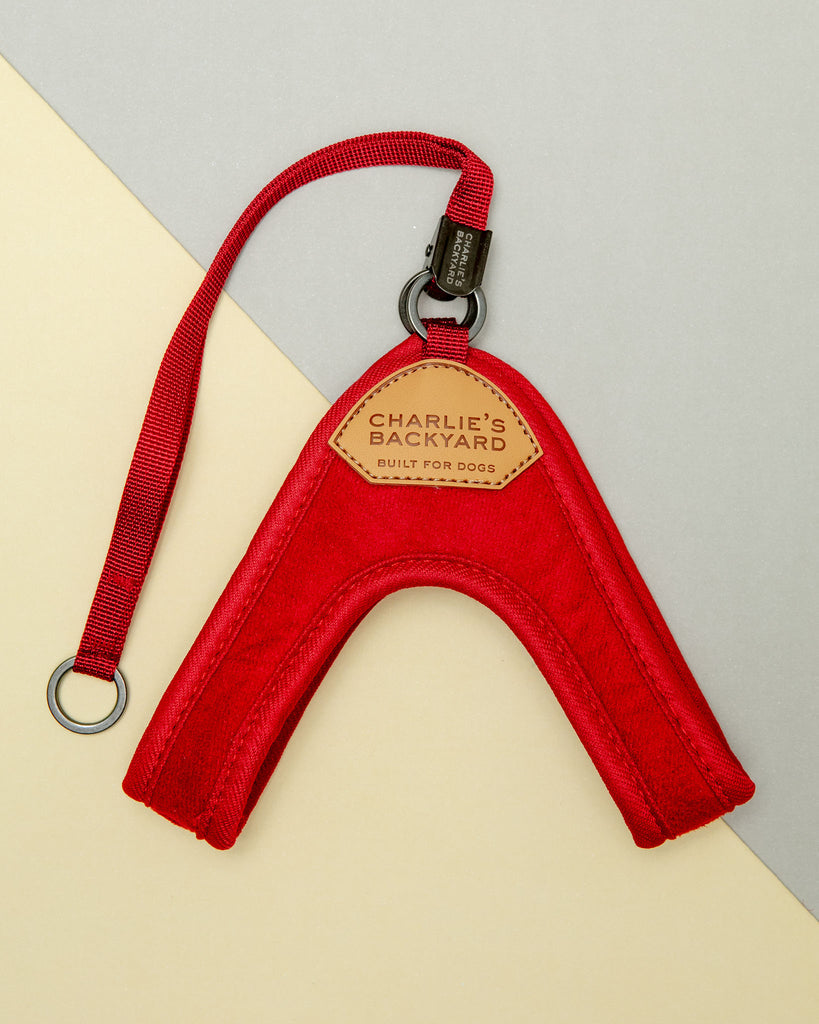 Adjustable Easy Dog Harness in Red WALK CHARLIE'S BACKYARD   