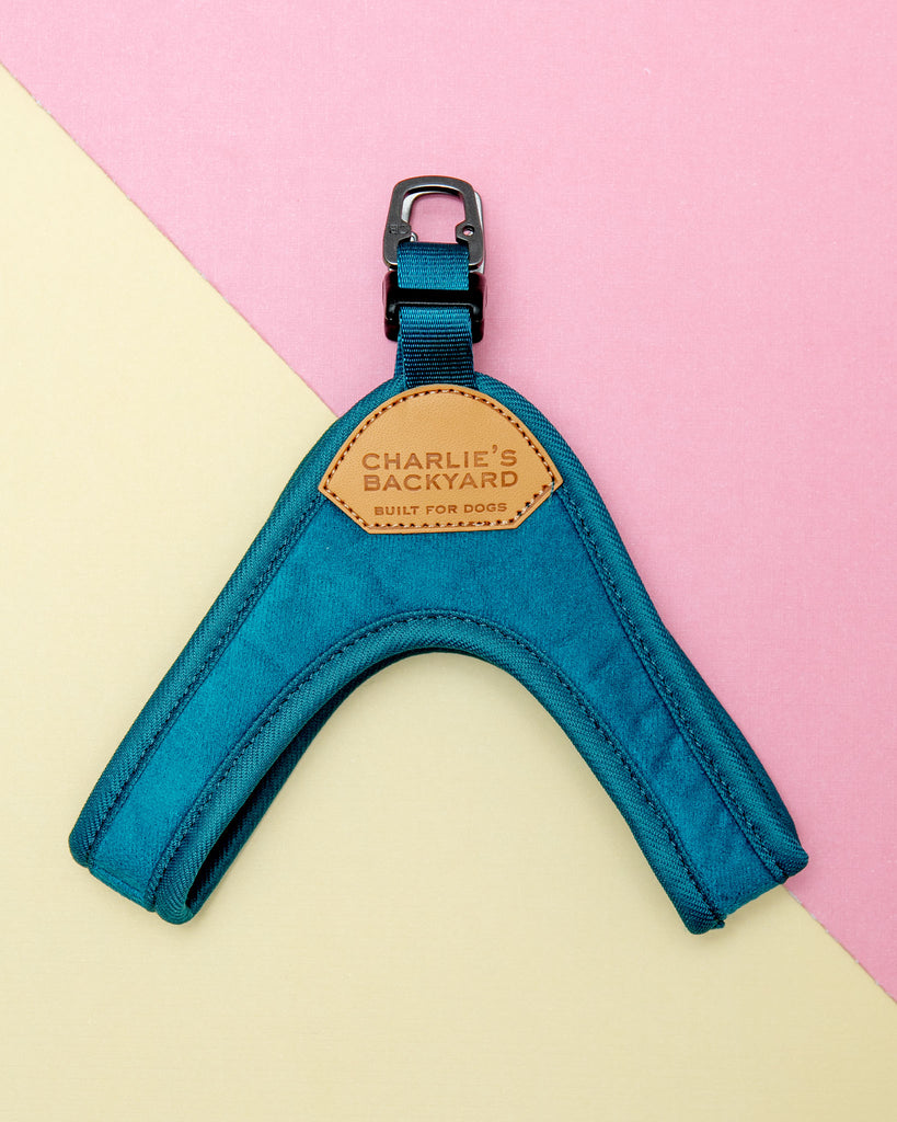 Buckle Up Easy Dog Harness in Teal Walk CHARLIE'S BACKYARD   