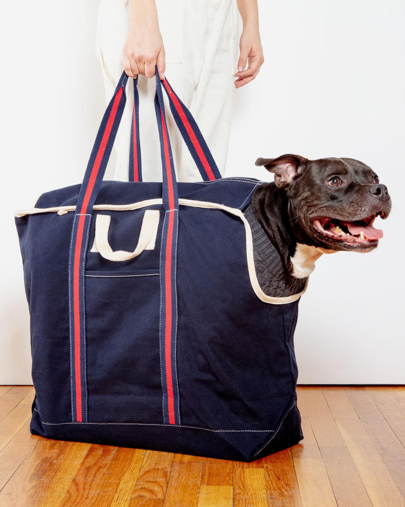 City Carrier Dog Bag in Size 4 Carry DOG & CO. COLLECTION Navy with Red  