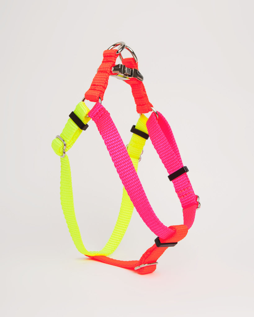 Nylon Colorblock Dog Harness in Neon Pink/Orange/Yellow (Made in the USA) WALK WARE OF THE DOG   