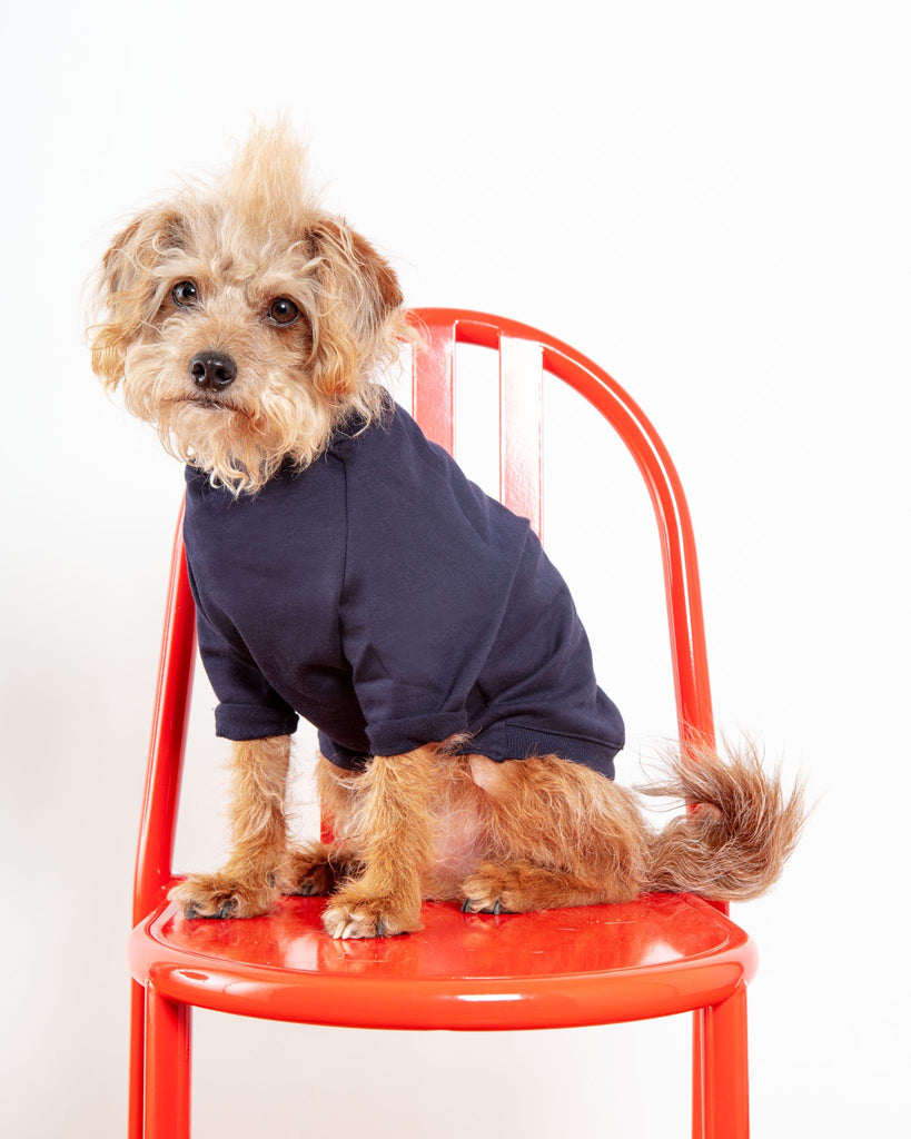 Cut-Sleeve Crewneck Pullover in New Navy<br>(Made in NYC!) Wear DOG & CO. COLLECTION   