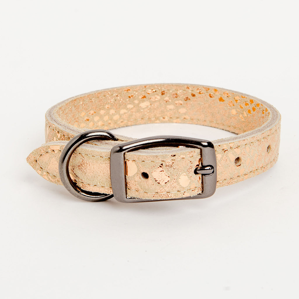 Dragon Skin Leather Collar in Golden (FINAL SALE) WALK DESIGN FOR DOGS   