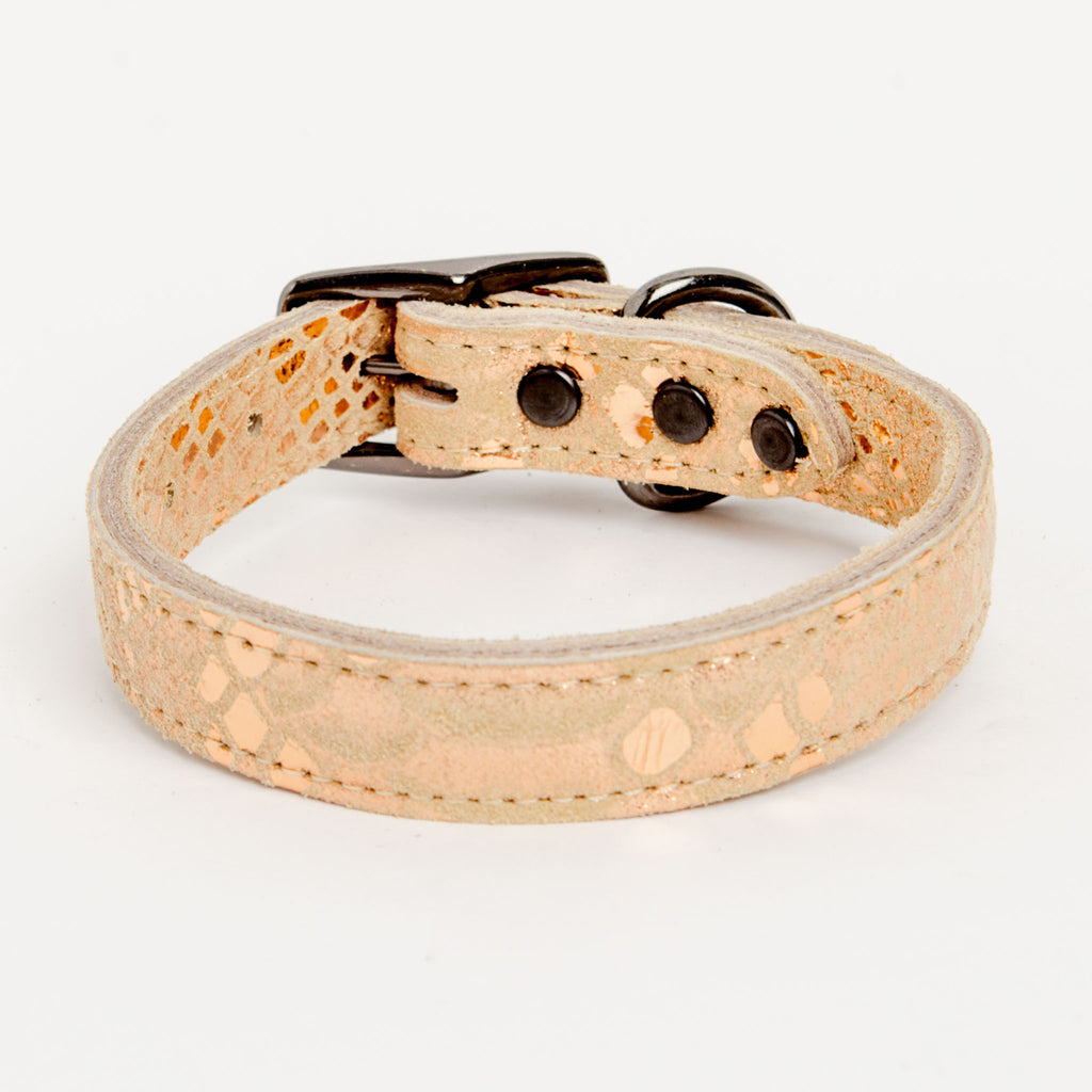 Dragon Skin Leather Collar in Golden (FINAL SALE) WALK DESIGN FOR DOGS   