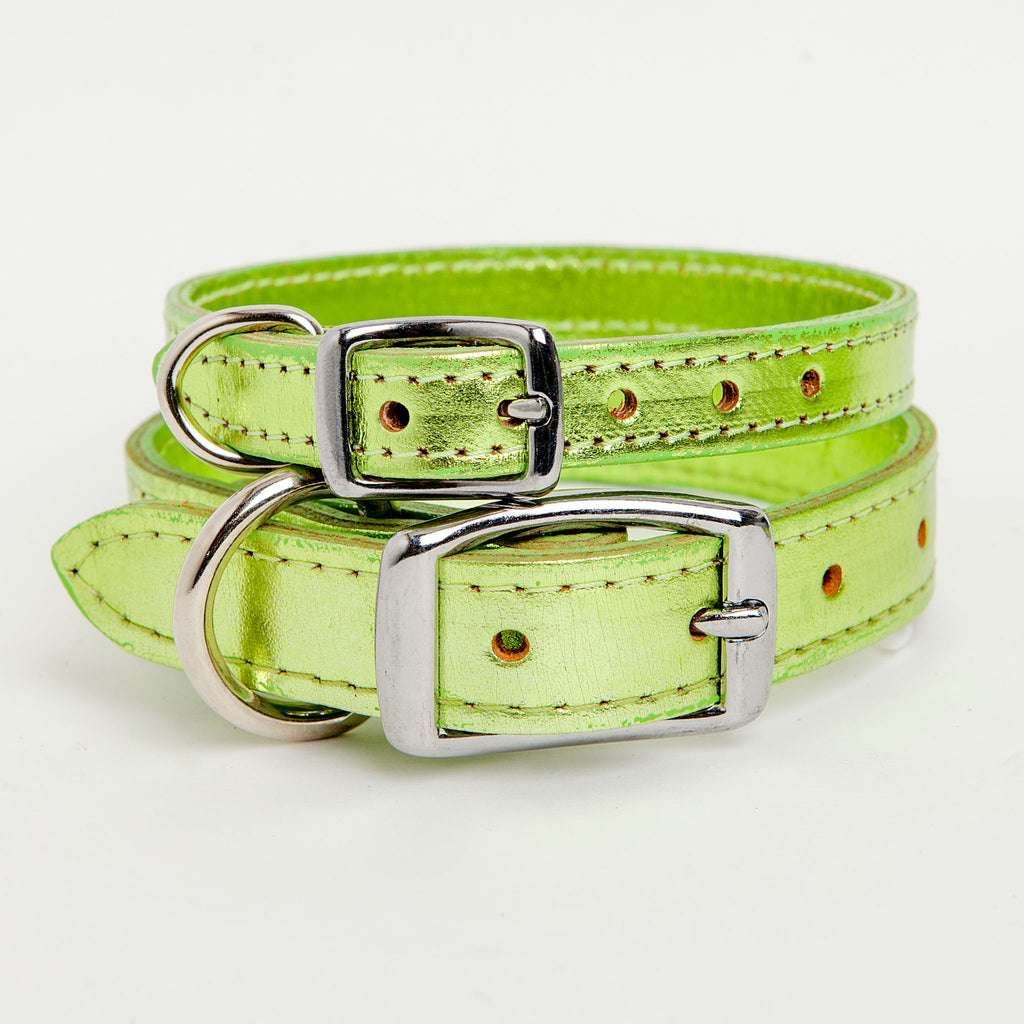 Shimmer Leather Dog Collar in Metallic Acid Green << FINAL SALE >> WALK DESIGN FOR DOGS   