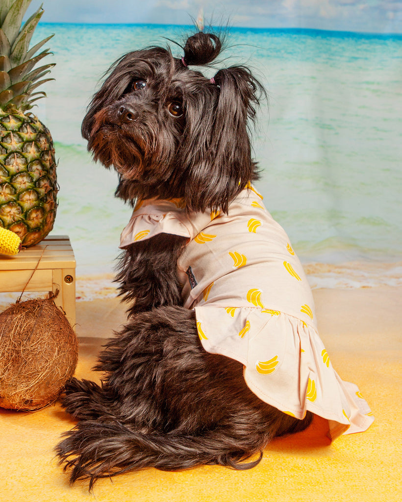 Bananas Lightweight Dog Dress (FINAL SALE) Wear DOGO   