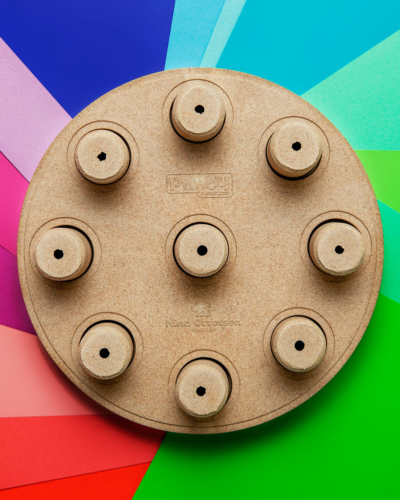 Dog Smart Treat Puzzle Game Play Nina Ottosson   