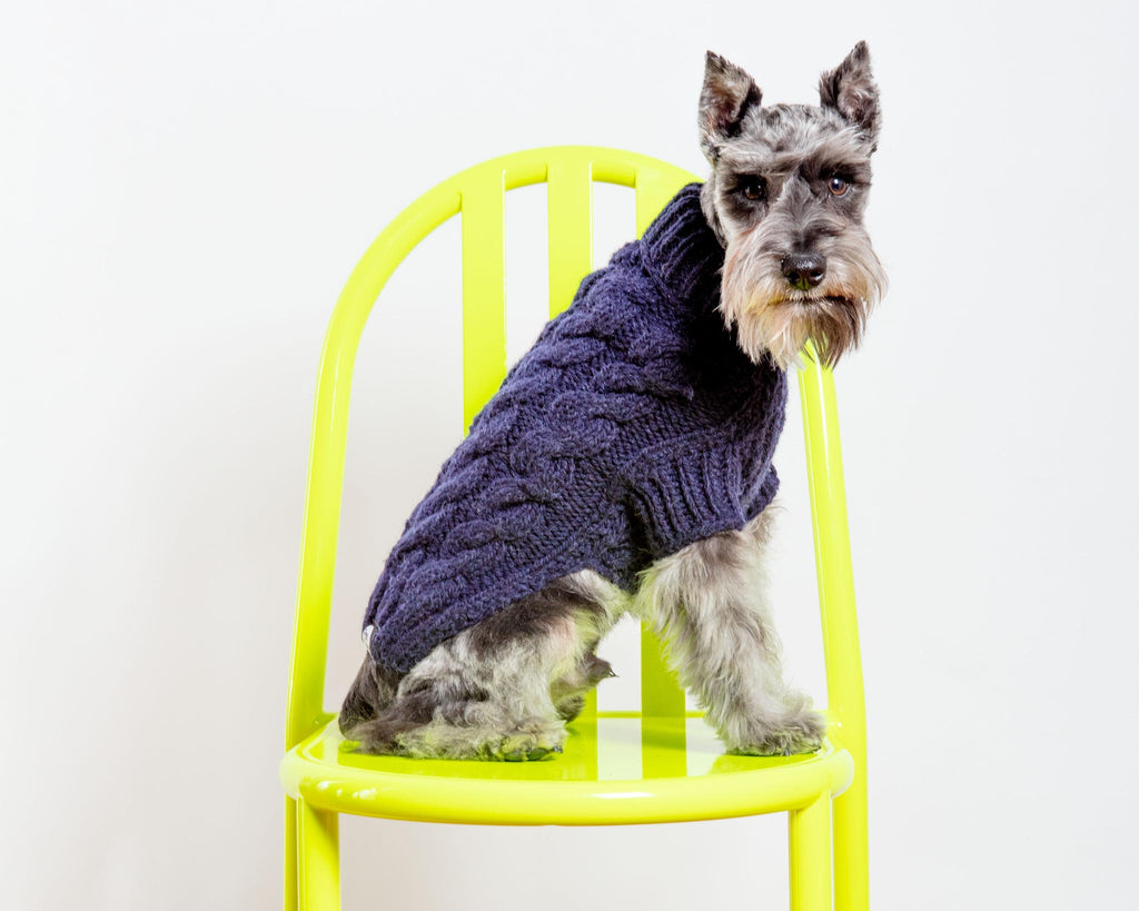 Downtown Roll Neck Dog Sweater in Navy wear DOG & CO. COLLECTION   