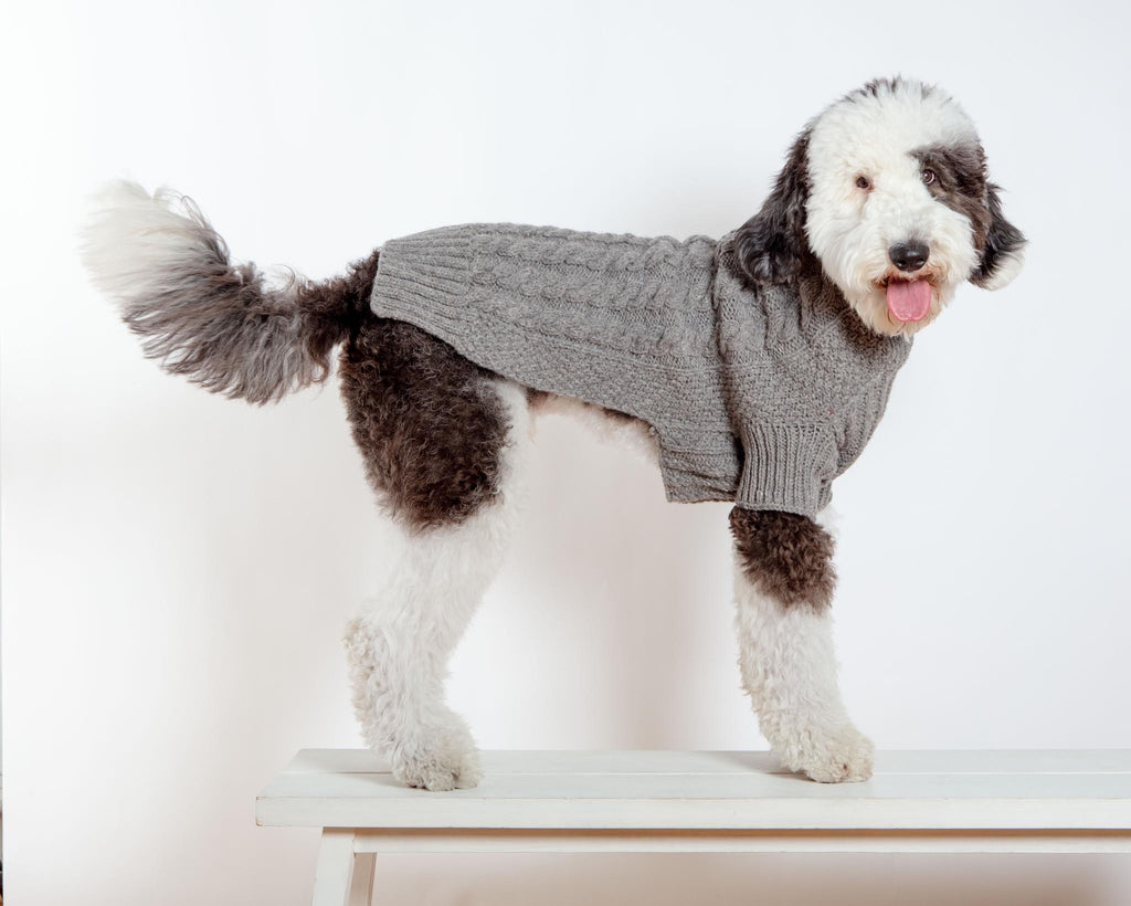 Downtown Roll Neck Dog Sweater in Grey Wear DOG & CO. COLLECTION   