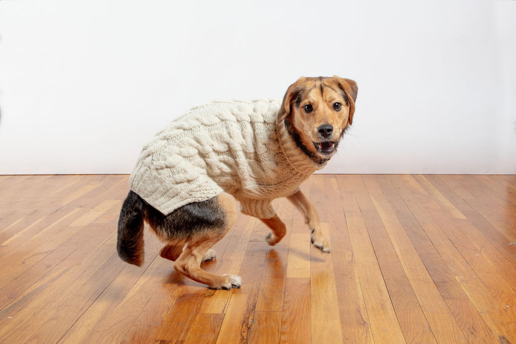 Downtown Roll Neck Dog Sweater in Natural Wear DOG & CO. COLLECTION   