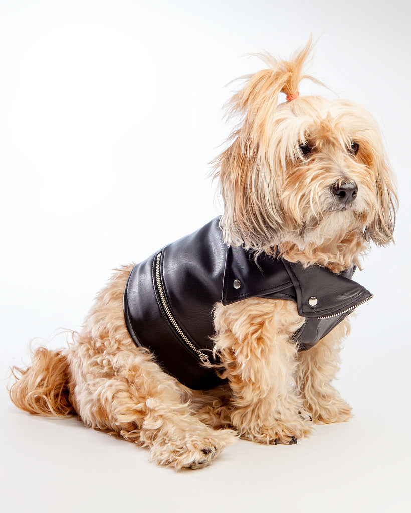 Vegan Leather Moto Vest for Dogs Wear EYE OF DOG   