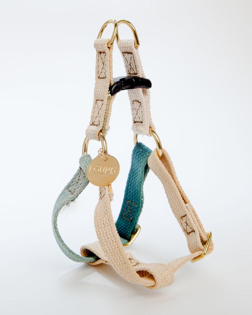 Cotton Webbing Dog Harness in Catskill Made in the USA