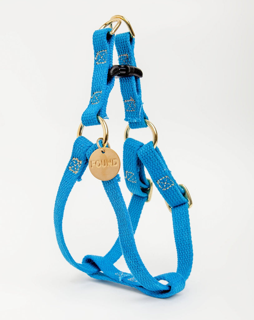 Cotton Webbing Dog Harness in Teal << FINAL SALE >> WALK FOUND MY ANIMAL   