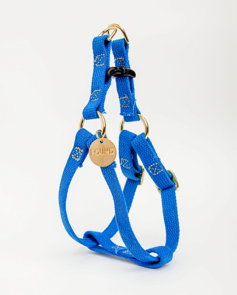 Cotton Webbing Harness in Cobalt Blue (FINAL SALE) WALK FOUND MY ANIMAL   