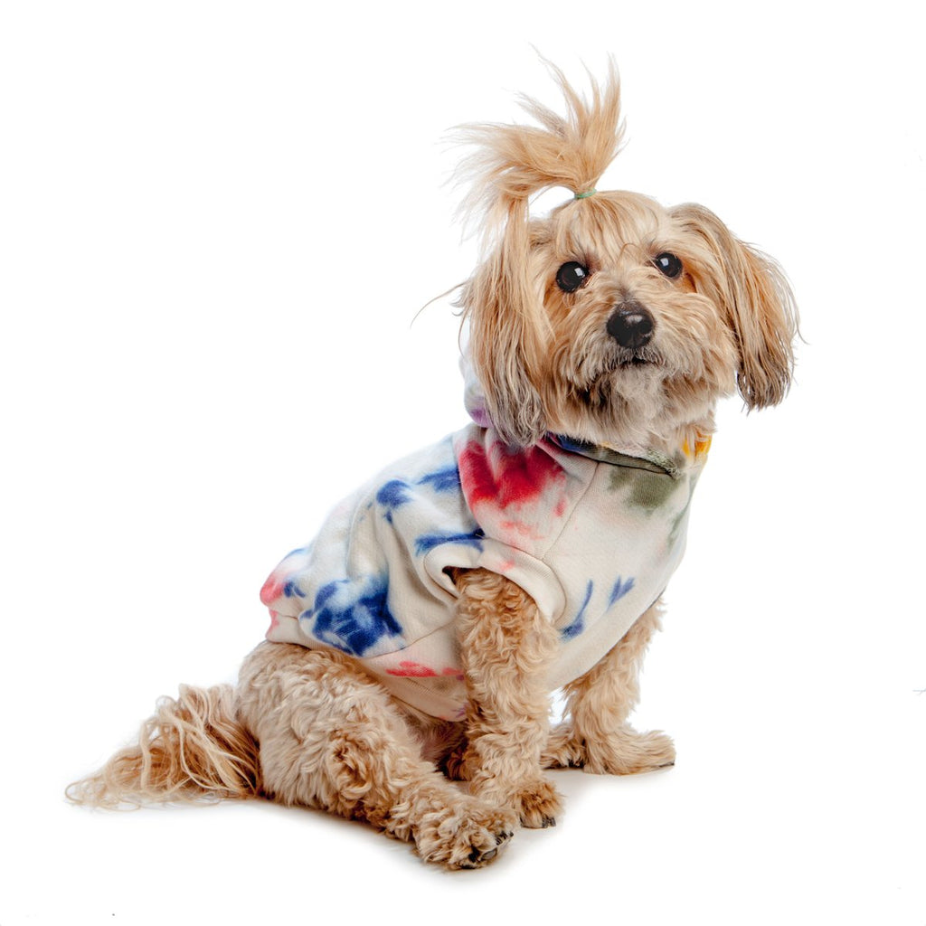 Studio Splatter Dog Sweatshirt in Henri (FINAL SALE) Wear FOUND MY ANIMAL   