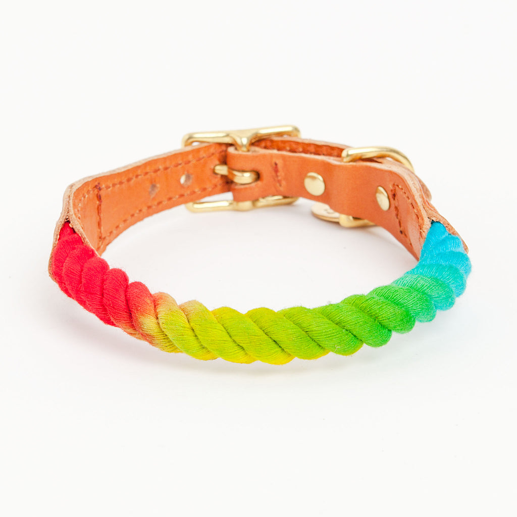 Rope Collar in Prismatic (FINAL SALE) WALK FOUND MY ANIMAL   