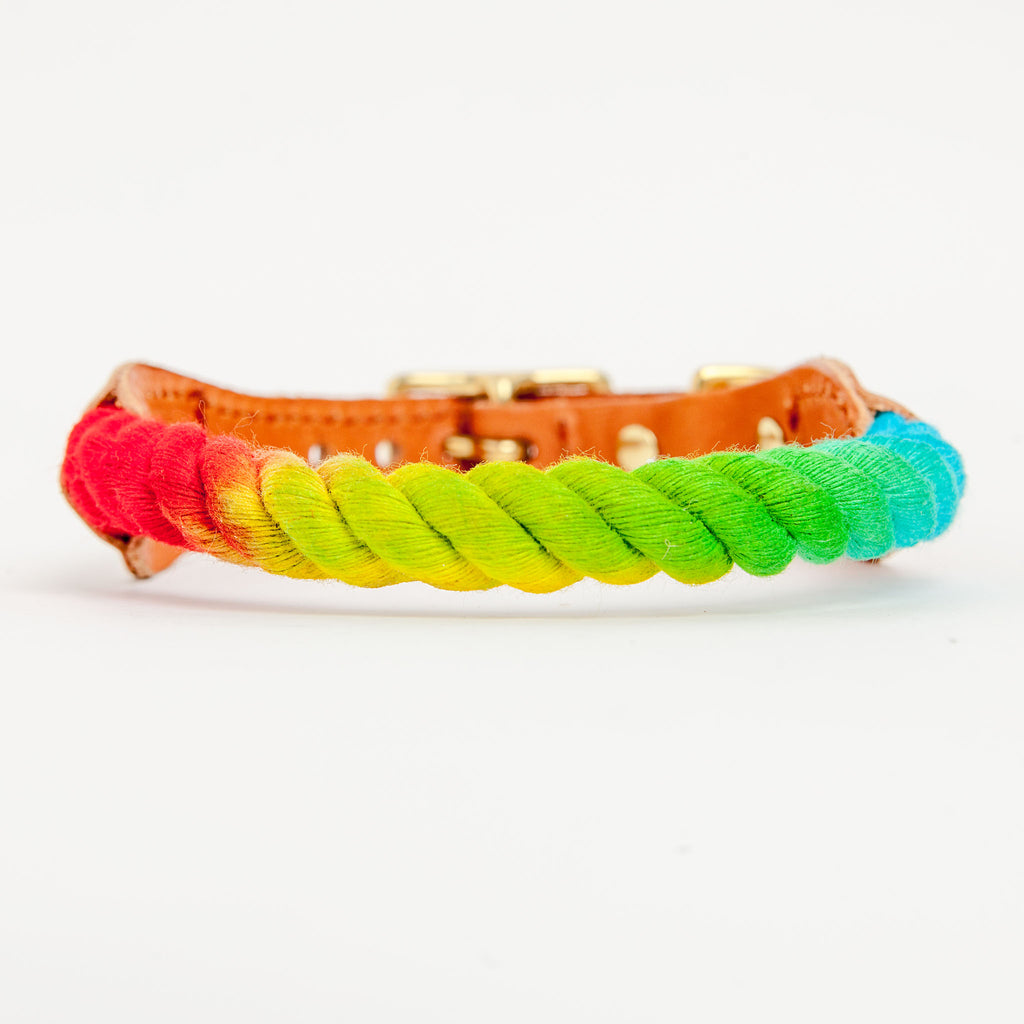 Rope Collar in Prismatic (FINAL SALE) WALK FOUND MY ANIMAL   