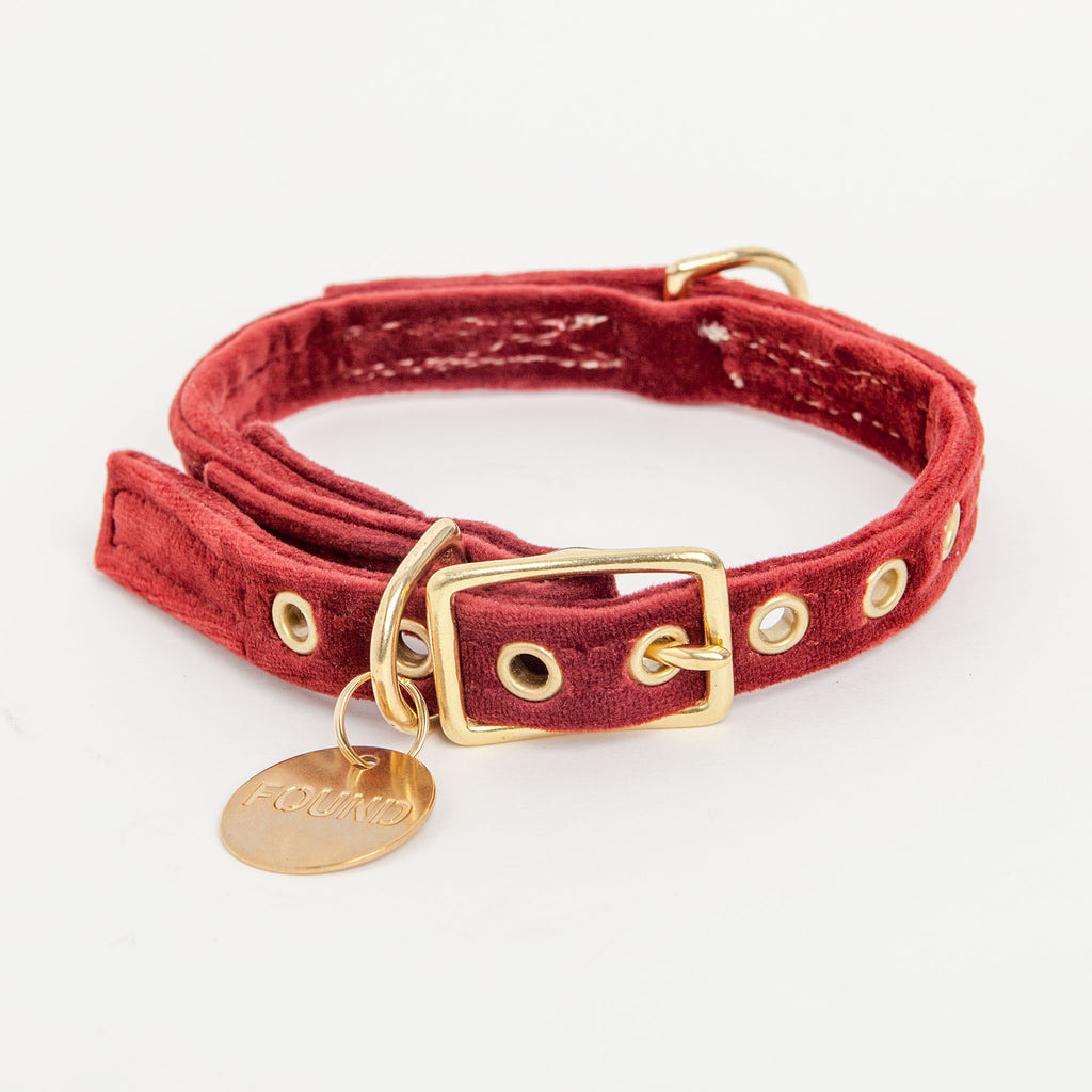 Velvet Collar in Burgundy (FINAL SALE) Collar FOUND MY ANIMAL   