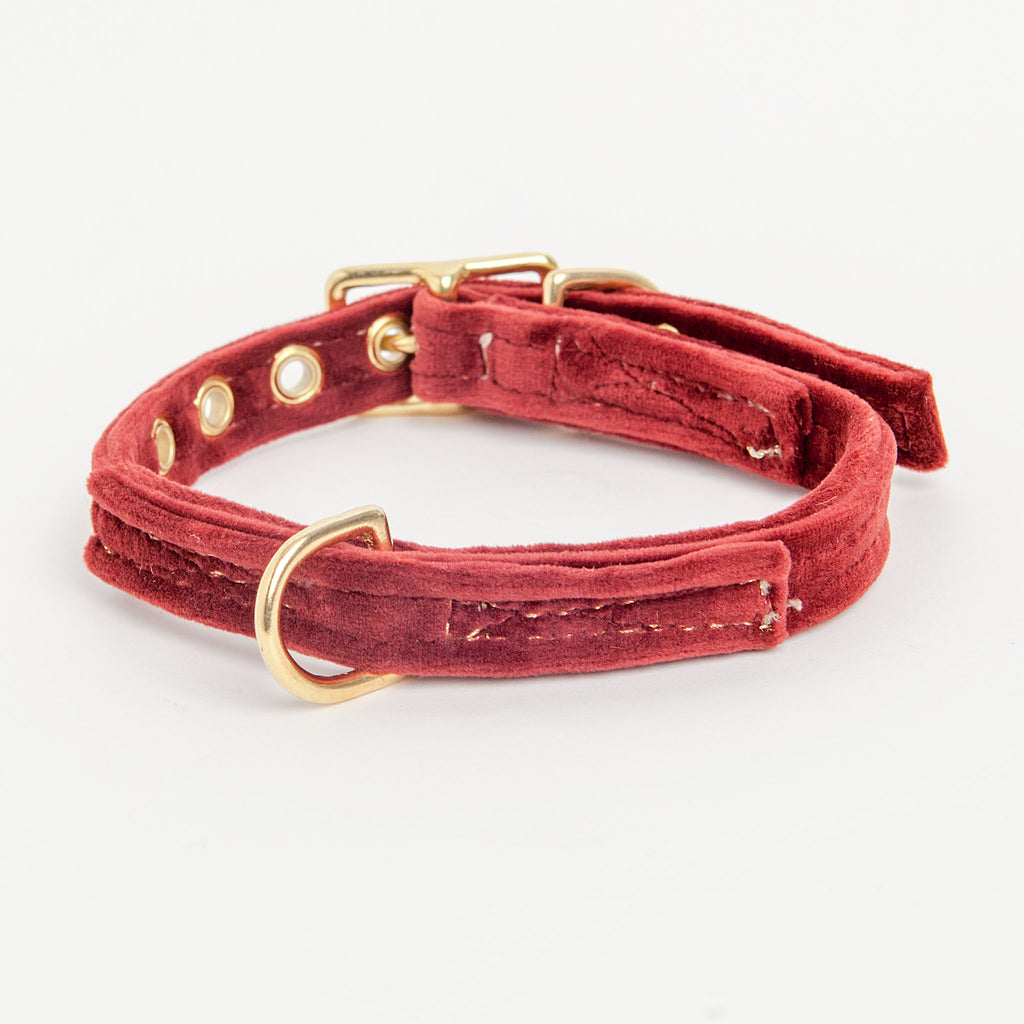 Velvet Collar in Burgundy (FINAL SALE) Collar FOUND MY ANIMAL   