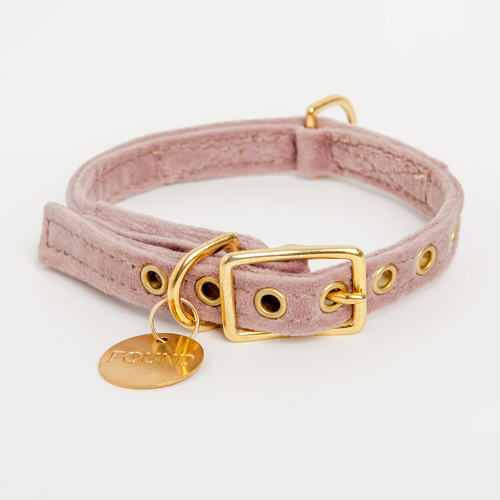 Velvet Collar in Rose (FINAL SALE) Collar FOUND MY ANIMAL   
