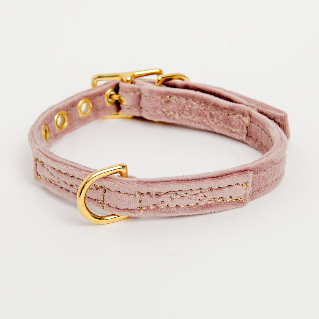Velvet Collar in Rose (FINAL SALE) Collar FOUND MY ANIMAL   