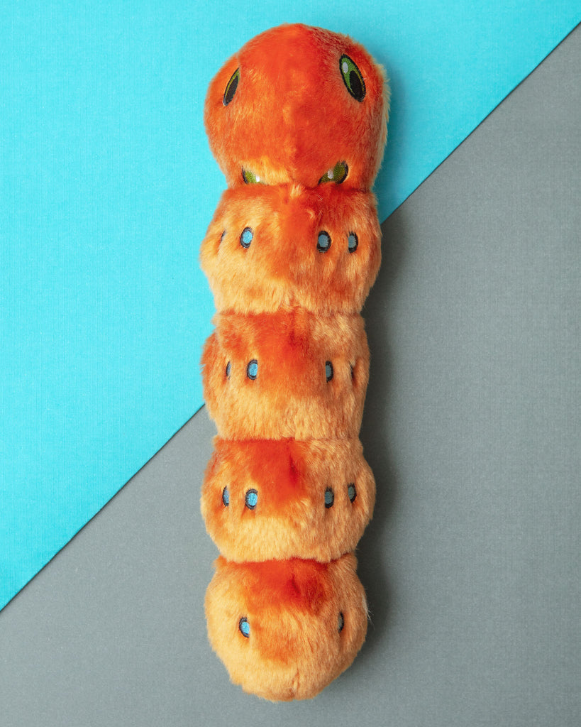 Spicy Caterpillar Plush Dog Toy Play FLUFF & TUFF   