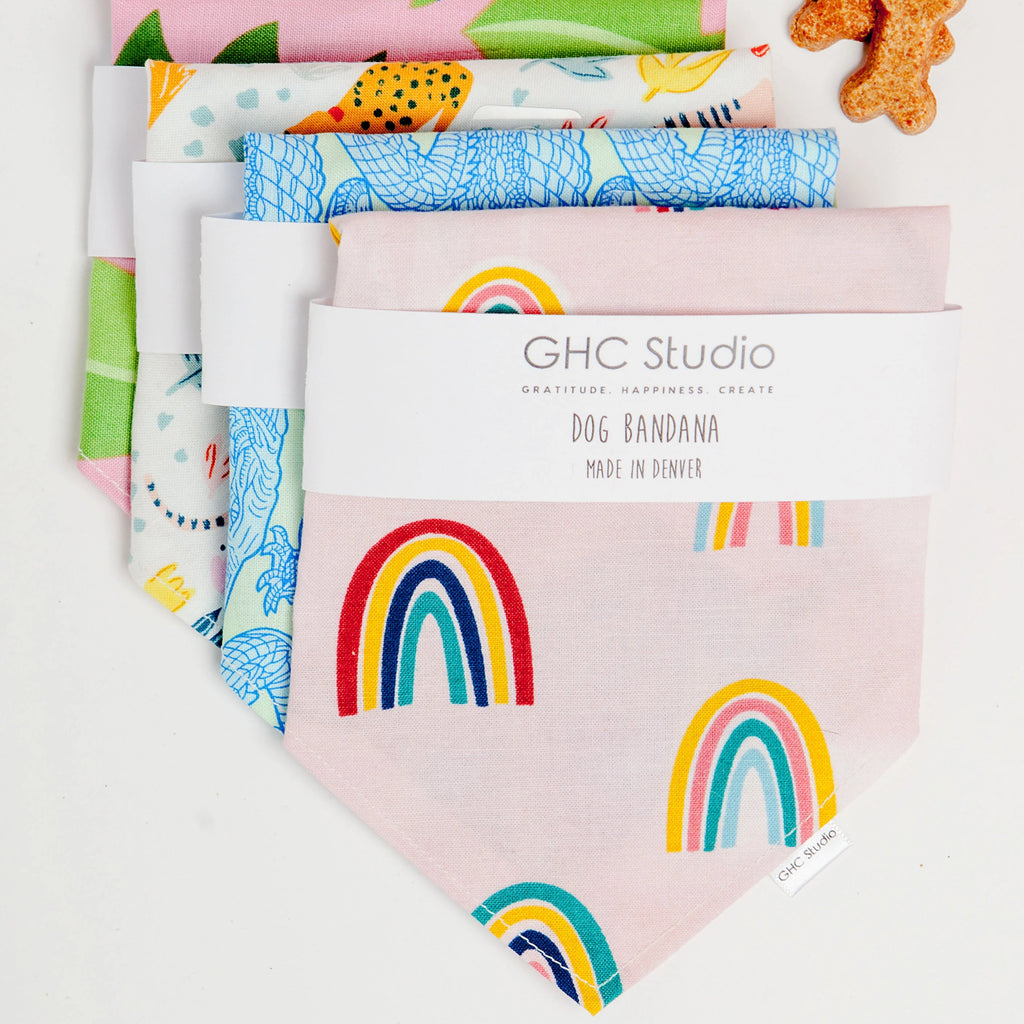 Rainbow Bandana Accessories GHC STUDIO   