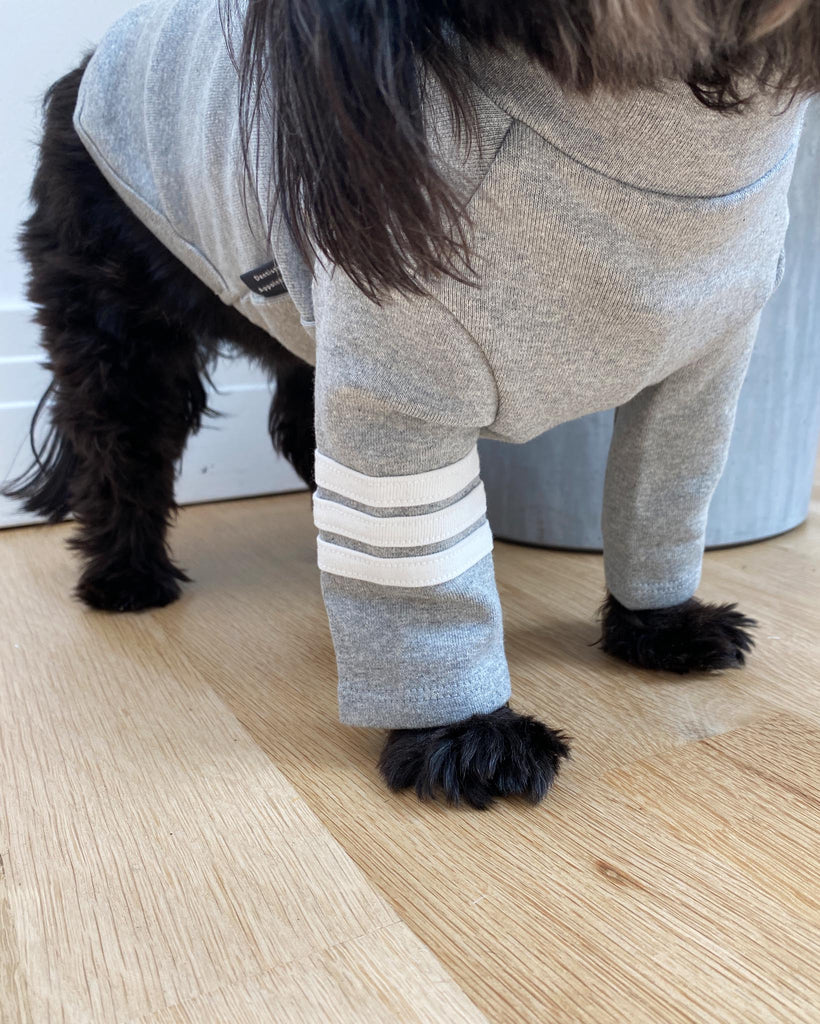 Stripe Point Turtleneck in Grey (Dog & Co. Excusive) Wear DENTISTS APPOINTMENT   