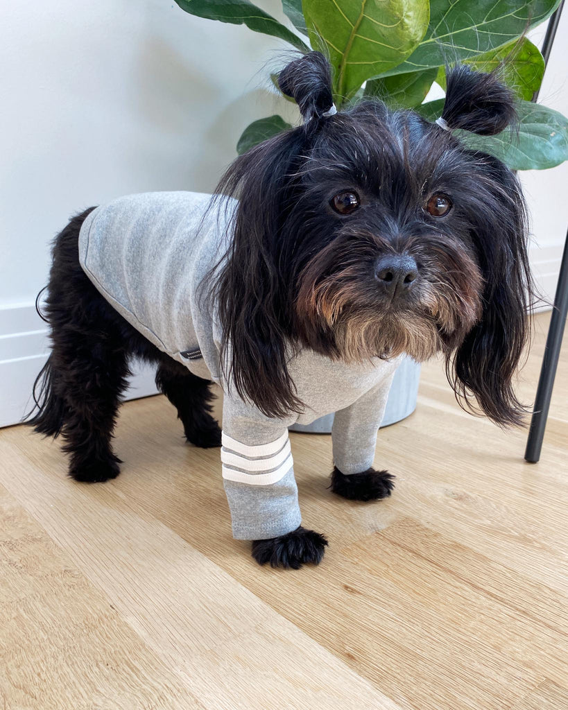 Stripe Point Turtleneck in Grey (Dog & Co. Excusive) Wear DENTISTS APPOINTMENT   