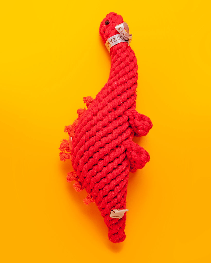 Stew the Stegosaurs Rope Dog Toy Play JAX & BONES   