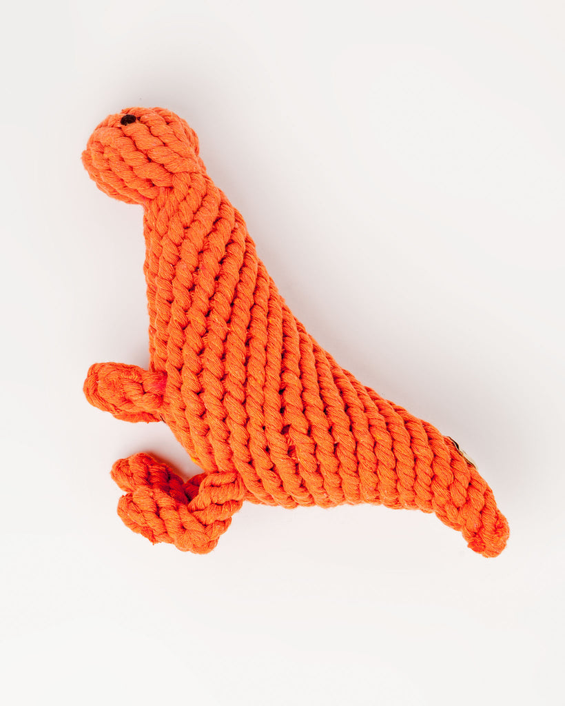 T Rex Rope Toy (FINAL SALE) Play JAX & BONES   