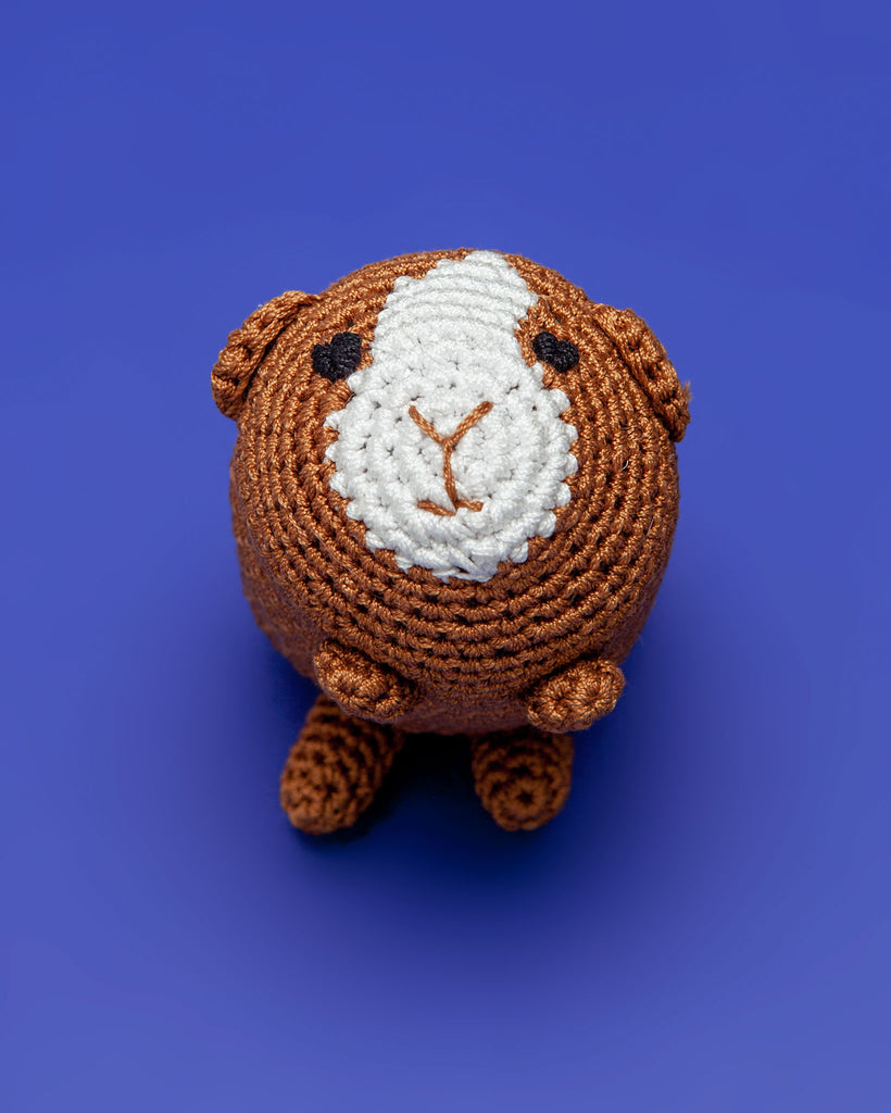 Guinea Pig Organic Knit Dog Toy Play KNIT KNACKS   