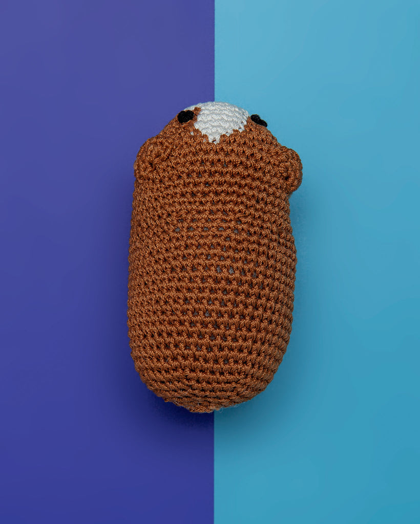 Guinea Pig Organic Knit Dog Toy Play KNIT KNACKS   