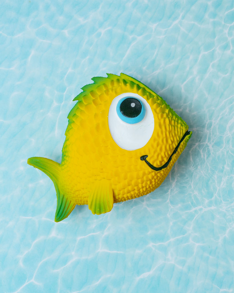 Sensory Fish - Squeaky Dog Toys - Soft, Natural Rubber (Latex