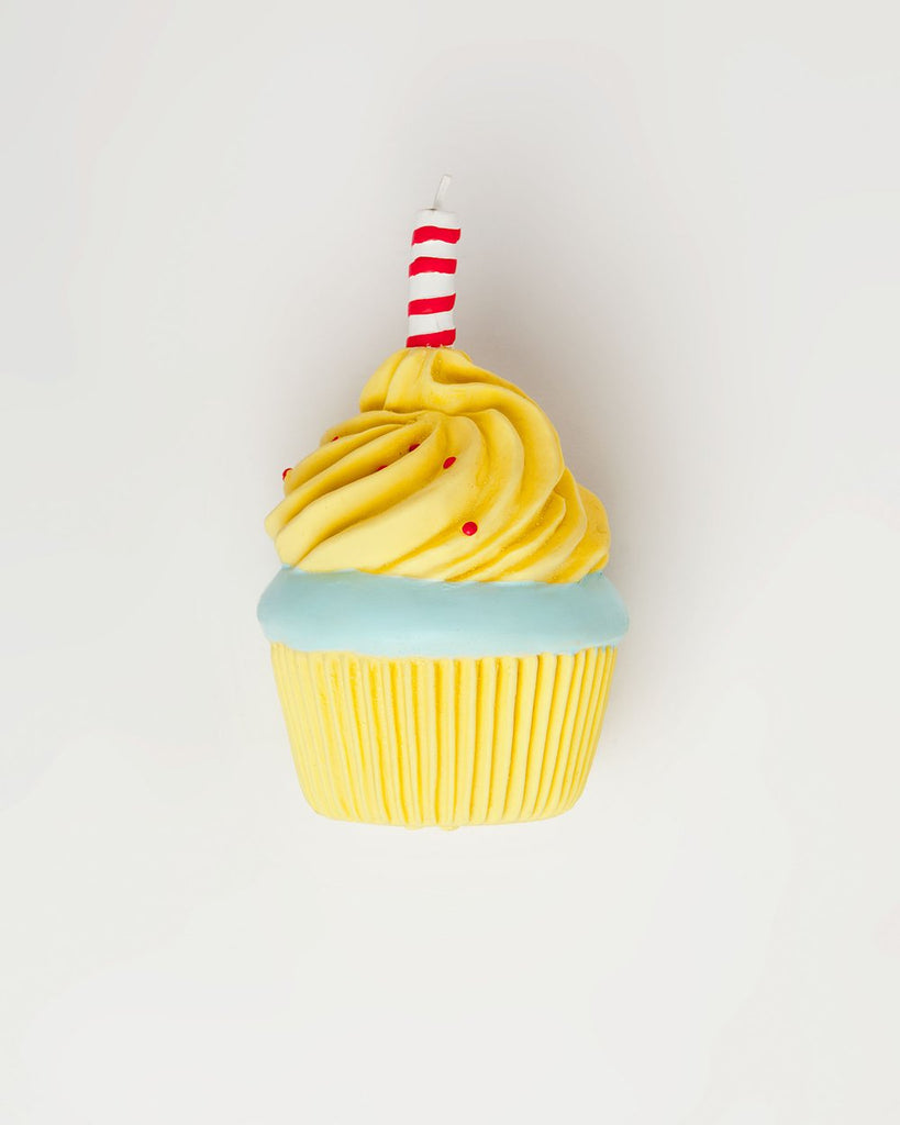 Cupcakes & Champagne Bundle Play DOG & CO. BUNDLE   