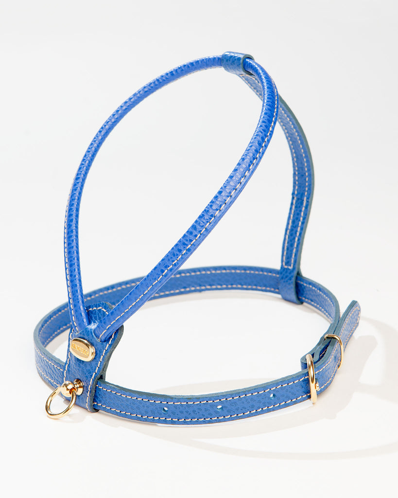 Italian Leather Harness in Blue << FINAL SALE >> WALK LA CINOPELCA   