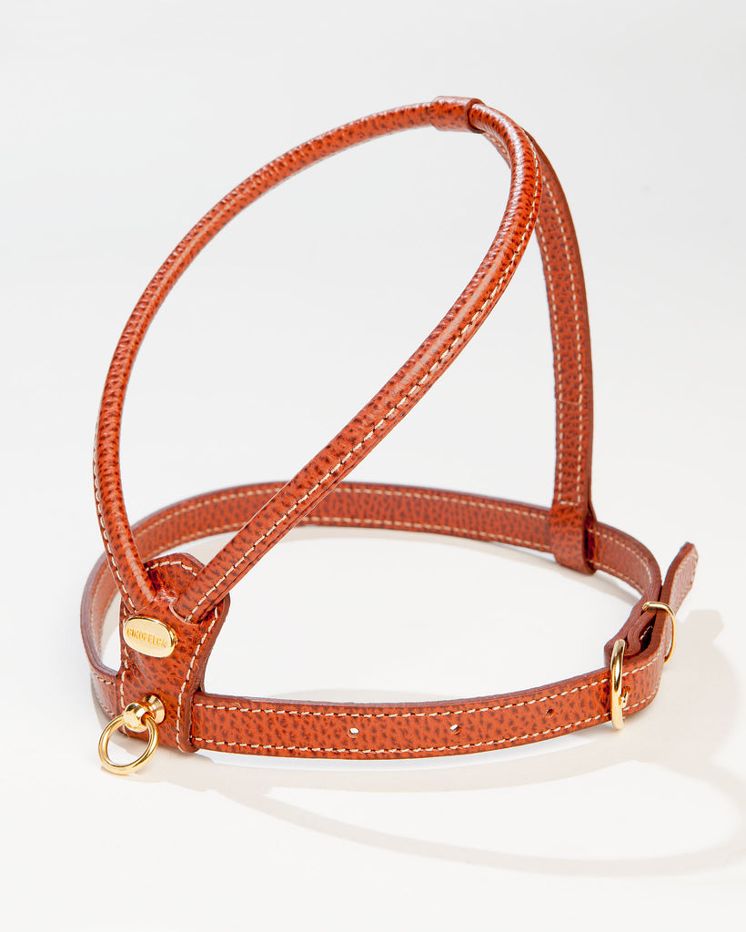 Italian Leather Dog Harness in Luggage Brown WALK LA CINOPELCA   