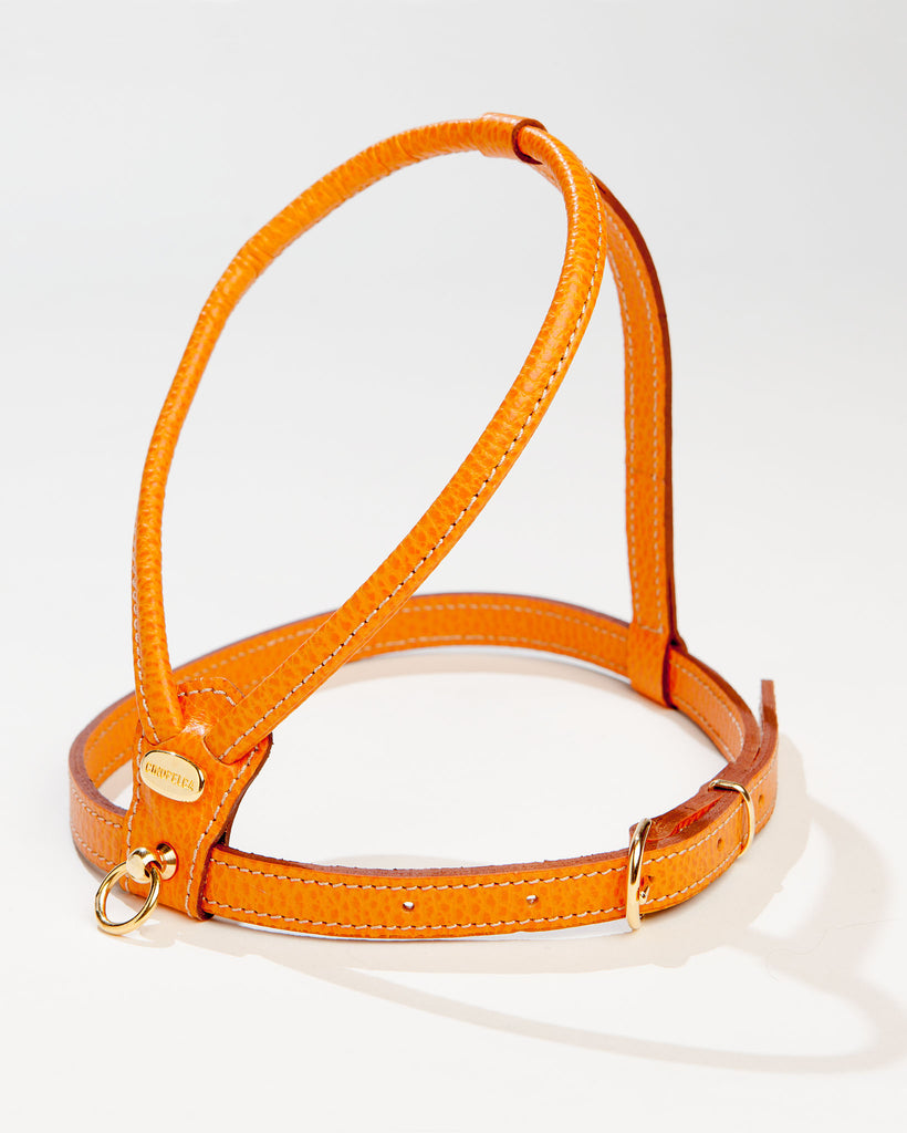 Italian Leather Harness in Orange WALK LA CINOPELCA   