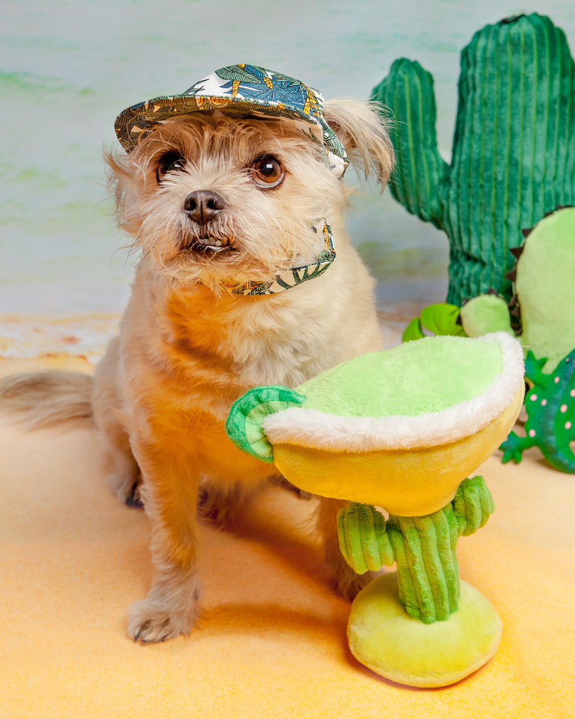 Tropical Leaf Hat (FINAL SALE) Wear DOGO   