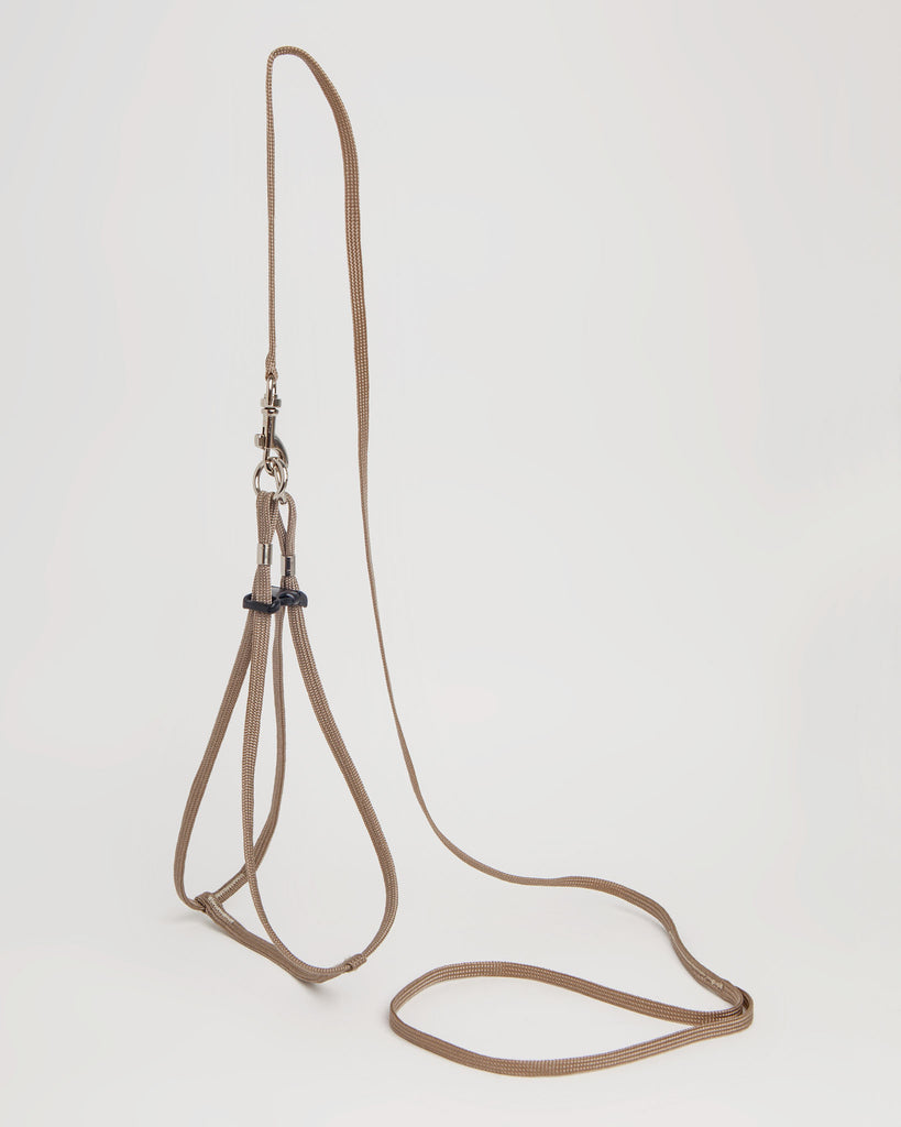 Tiny Dog Step-In Harness + Lead in Black WALK MENDOTA   