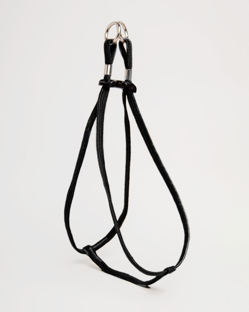 Tiny Dog Step-In Harness + Lead in Black WALK MENDOTA   