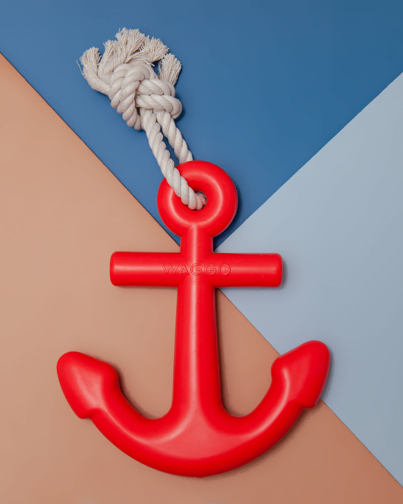 Floating Anchor Dog Toy in Cherry Toys WAGGO   